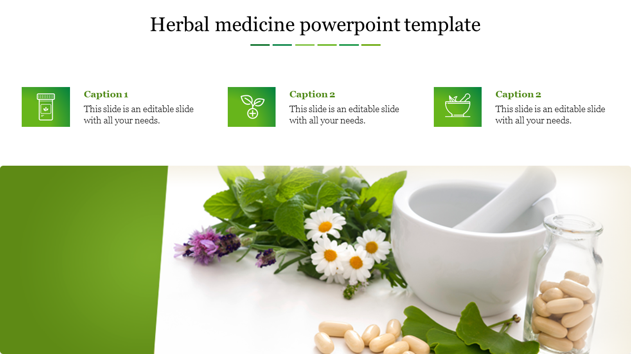 Editable herbal medicine PPT Template and Google Slides